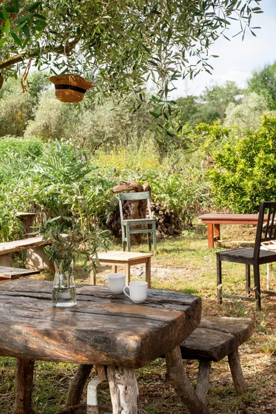 Country home on large plot in a private location — photo 10