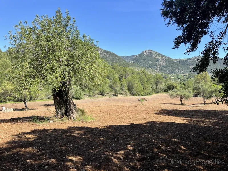 Building Plot for Sale in Selva, Mallorca, Baleares, Spain — photo 4