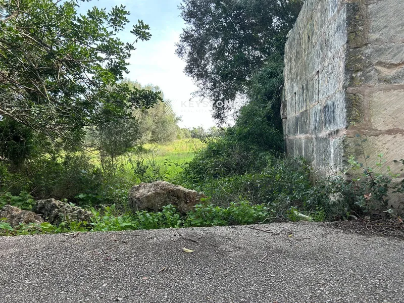 Plot — photo 10