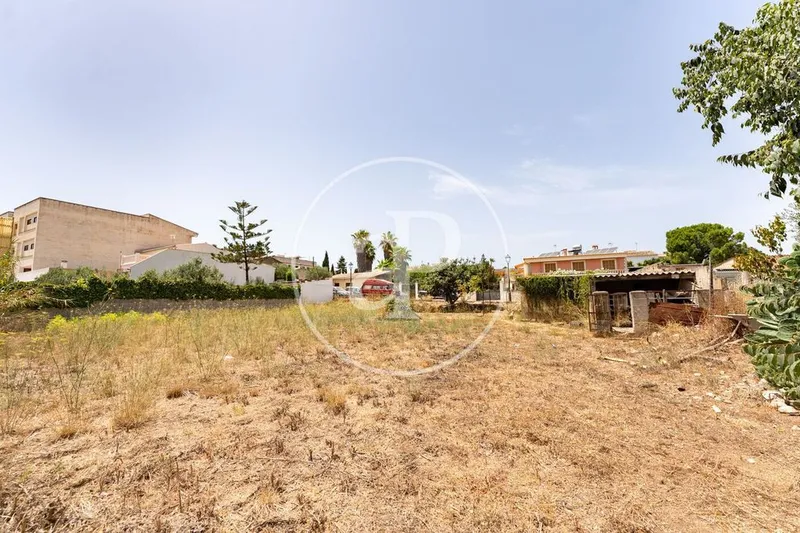 Land in Binissalem, Province of Balearic Islands — photo 5