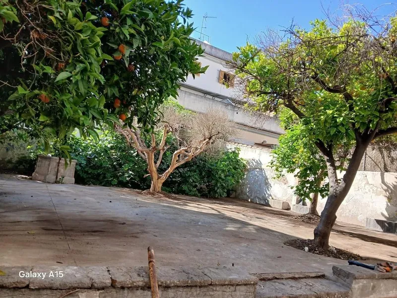 Apartment in Inca, Province of Balearic Islands — photo 7