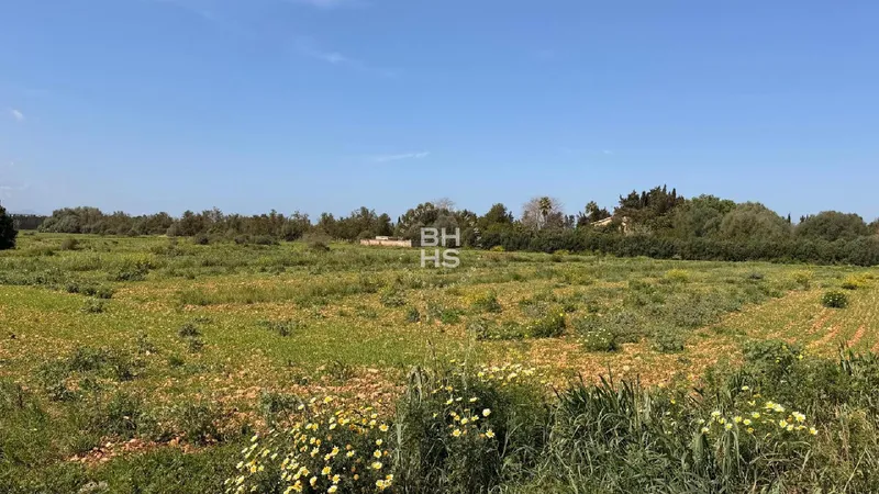 Country plot for sale in Llubí — photo 2