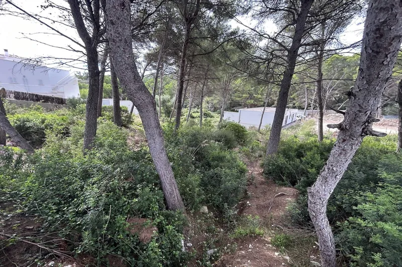 S6 - Plot for sale in Font de Sa — photo 2