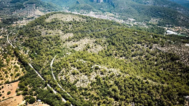 Rural or Farmhouse in Bunyola, Province of Balearic Islands — photo 7
