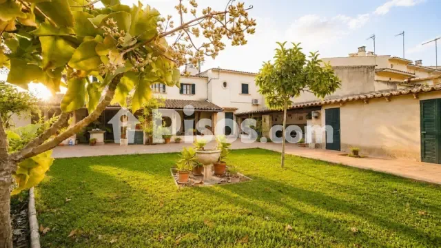 House in Establiments - Son Sardina — photo 1
