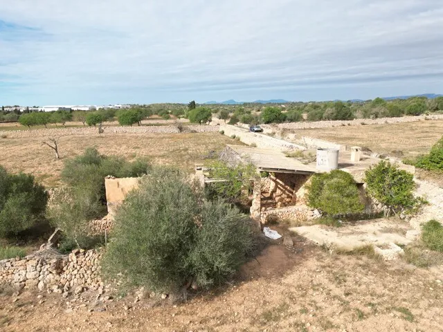 Countryside Plot with License and Project in Llucmajor, South Mallorca — photo 8