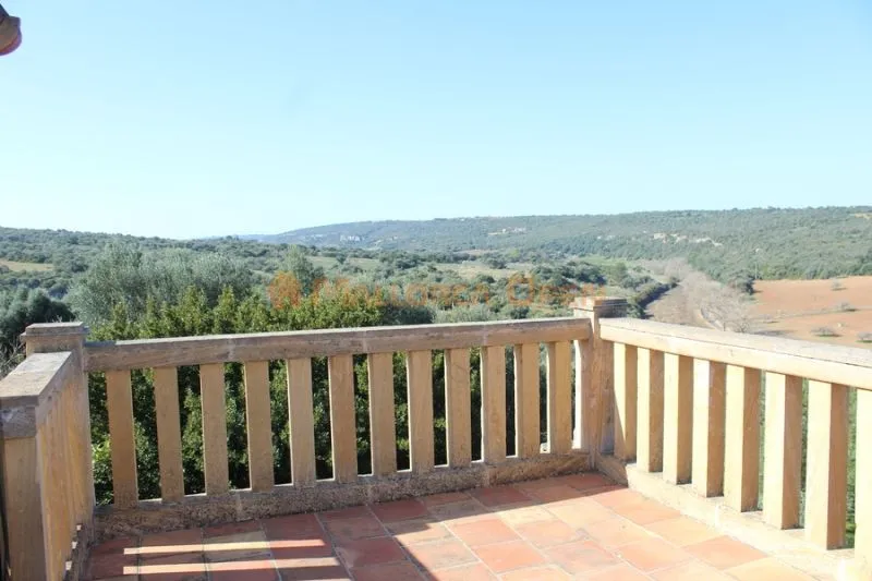 Fantastic house for sale with guest apartment between Manacor and Alcudia — photo 6