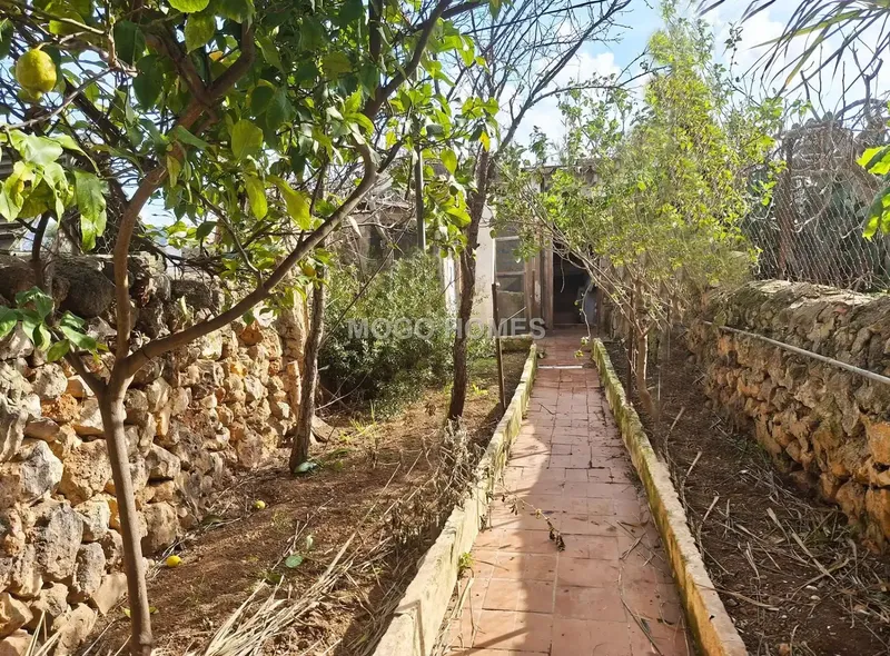 Village house to renovate in the town of Alaró. Very quiet area with access through a very quiet alley. — photo 6