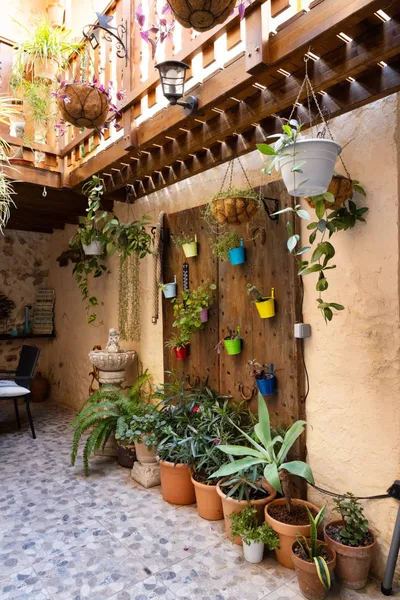 Unique Ground Floor in Sa Pobla — photo 12