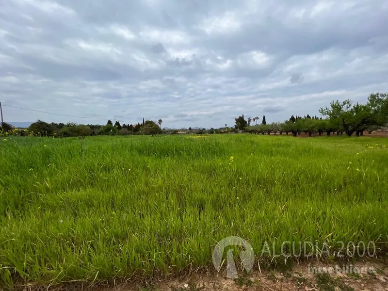 Land — photo 1
