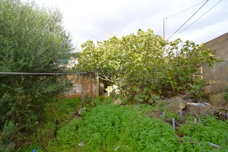 Fantastic village house to renovate with large garden in Muro — photo 4