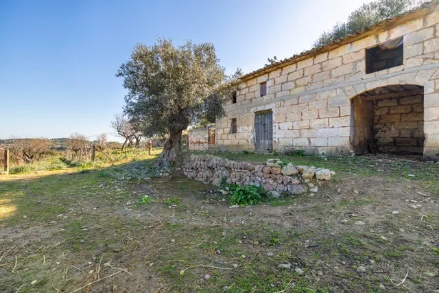 Beautiful plot for sale with 'bancales' between Selva and Caimari, Mallorca — photo 3