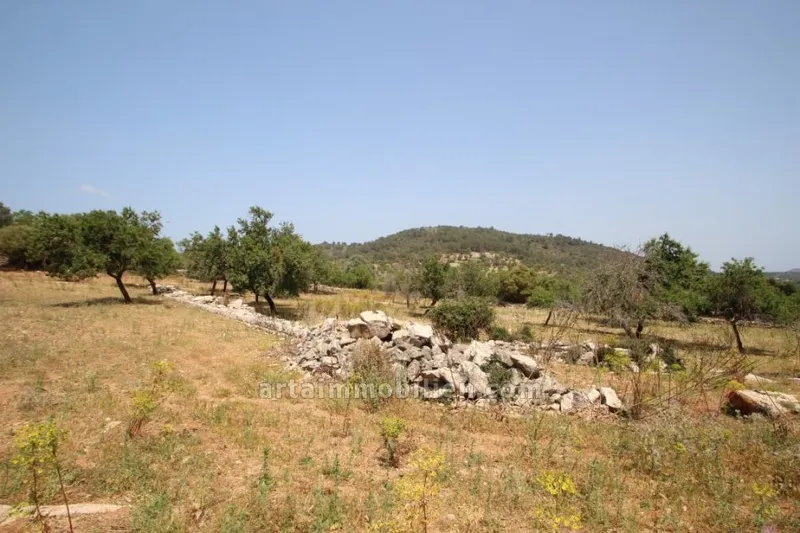 Plot near to Artà — photo 1