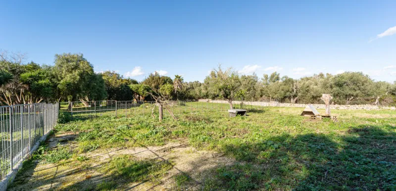 Country house in Sineu with pool and 5,400 m² of land — photo 5