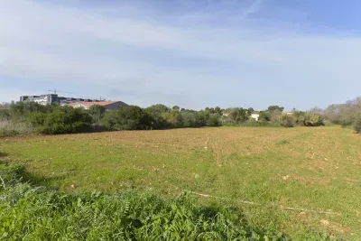 Land in Transition in Manacor — photo 1