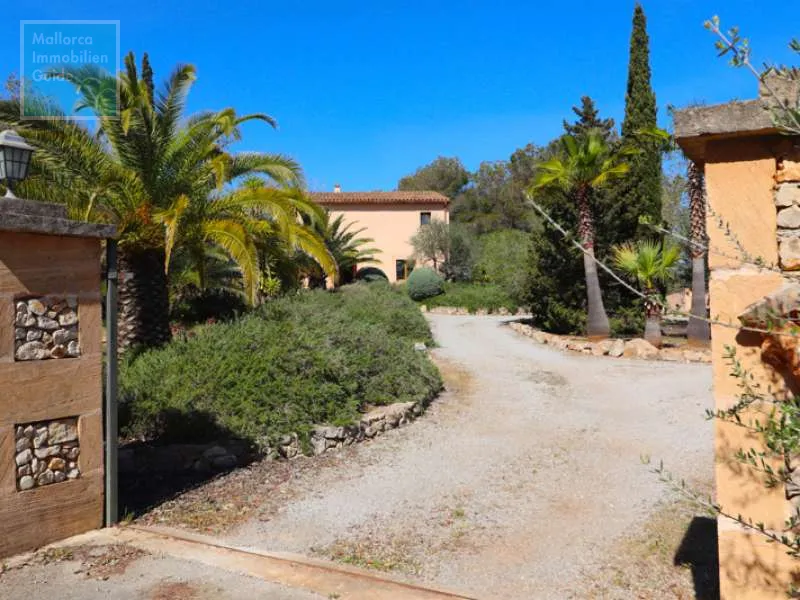 Finca in Porto Cristo — photo 11