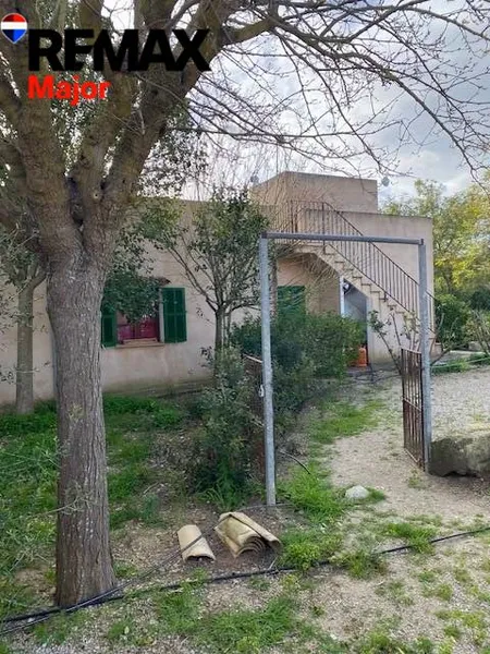 Mediterranean Sanctuary near Sineu – 3.5 Hectares of Pure Nature — photo 2