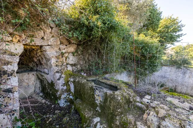Beautiful plot for sale with 'bancales' between Selva and Caimari, Mallorca — photo 8