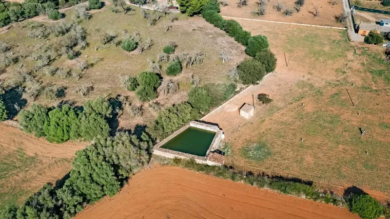Finca of 24,823 m2 in Búger, currently with 337 m2 built, divided into 217 m2 of house with stables, a 60 m2 building, 147 m2 — photo 11