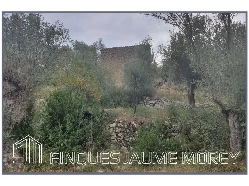 Discover your perfect refuge in nature! This charming rustic mountain property, located at the foot of the majestic Tramuntana mountain range — photo 12
