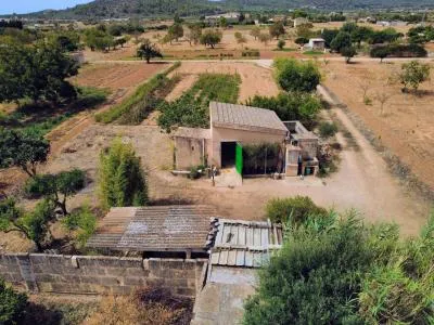 Rustic property - Porreres (Afueras) — photo 1