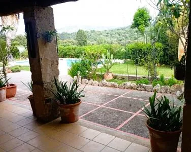 Rustic property - Pollença, built surface 200 m², plot surface 18,190 m², 4 bedrooms, 2 bathrooms, pool. — photo 6