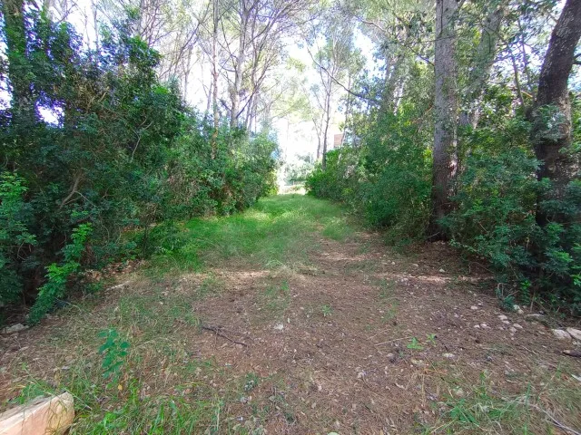 Exclusive residential plot for sale in a prestigious area of Puerto Pollensa, Mallorca — photo 3