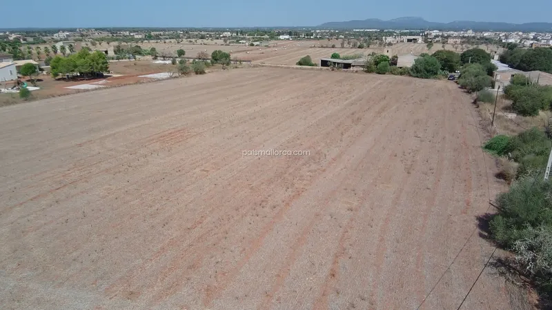 Countryside property in Campos — photo 7