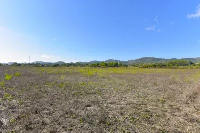Plot with Unobstructed Views in Manacor — photo 1