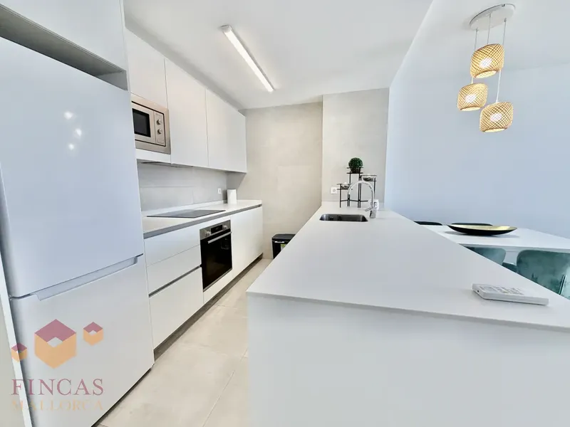 Jaume Balmes, penthouse for rent with solarium, parking – NOT AVAILABLE — photo 5