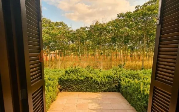 For rent: beautiful very large Bauhaus-style finca in Manacor, Colonia de Sant Pere area — photo 1