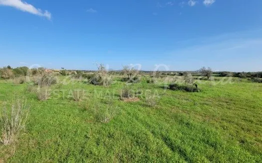 plot in Santanyi — photo 1
