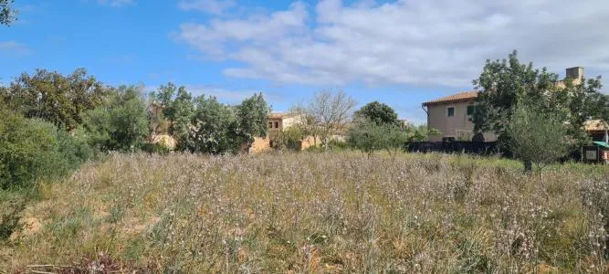 Urban plot of land - Santa Eugènia (Ses Alqueries), plot surface 2241m² — photo 6