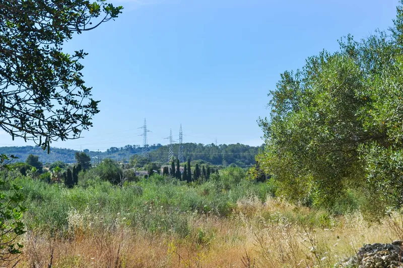 Llubi – Building plot with 35,032 m2 of land without project — photo 10