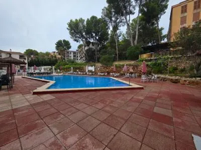 Studio - Calvià (Santa Ponça) , Built Surface 35m 2 , 1 Bathrooms, 300 Distance to the sea, Lift, Pool,... — photo 6