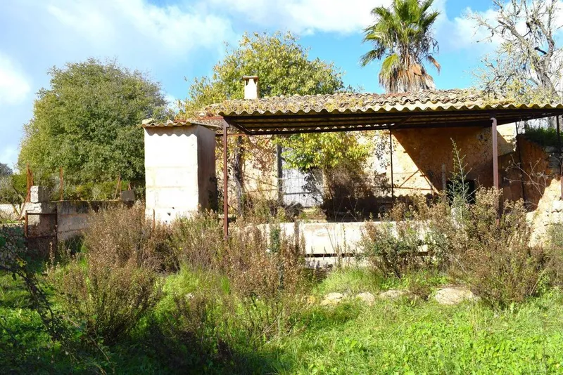 Land in Llubí, Province of Balearic Islands — photo 10