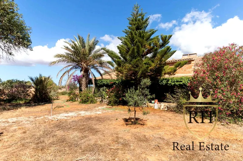 Beautiful Mallorcan home with endless possibilities — photo 8