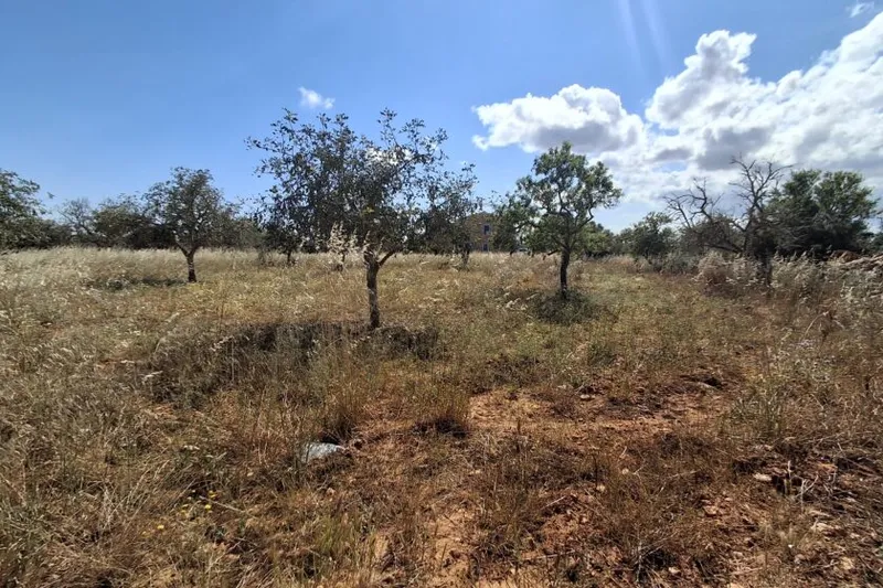 Plot with partial sea views between Cas Concos and Santanyí T 15 — photo 8