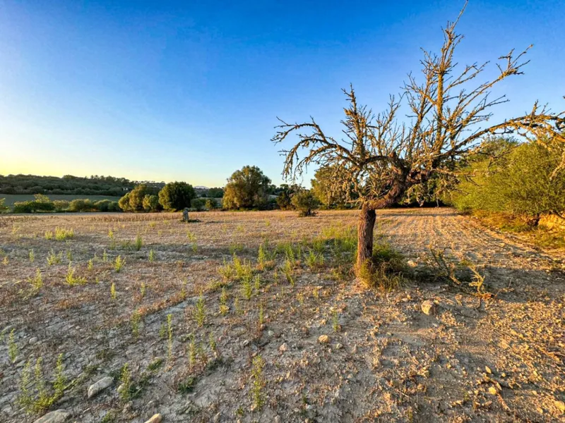 Rustic plot with basic project in beautiful surroundings — photo 8