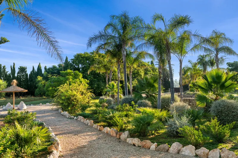 Exclusive luxury finca in Montuïri, Mallorca. — photo 8