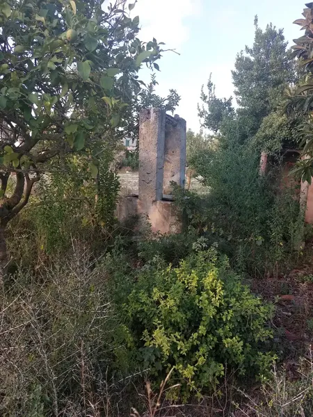 Plot with registered rustic house for sale in Montuïri with an area of about 2000m2 of land and an old house with a total built area — photo 7