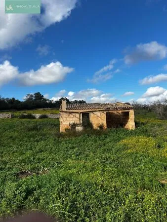 Plot of land - Llubí (Llubi), Plot Surface 14516m² — photo 4