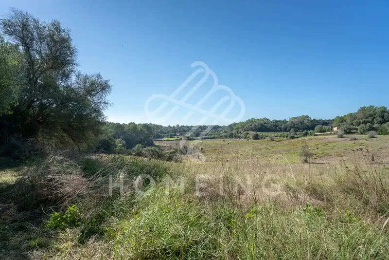 The Castell d'Amos estate, located in Costitx, has an area of 252,000 square meters and borders the municipalities of Sineu and Llor — photo 8
