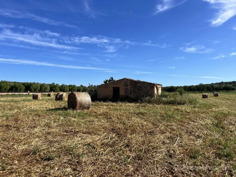 Land for sale in Ariany, Mallorca, Baleares, Spain — photo 1