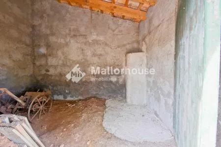 Urbanizable land - Muro (Son Serra), Plot Surface 15,324 m² — photo 9