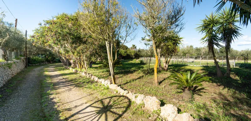 Country house in Sineu with pool and 5,400 m² of land — photo 2