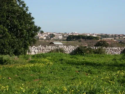 Enormous large finca with license near Es Llombards – F 127 a — photo 6