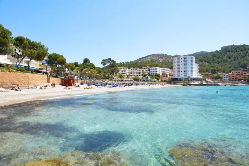 Mallorca Next Properties - Plot with license for single-family home with pool — photo 4