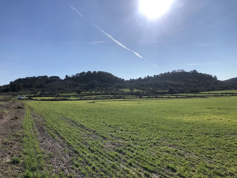 Beautiful plot with open views on the outskirts of Sant Joan — photo 5