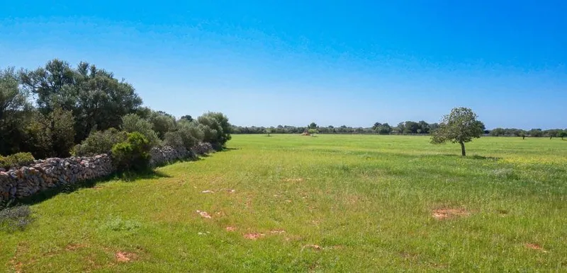 Rustic estate near Cala Pí — 136,400 m², Llucmajor area, 10 min from the coast — photo 9